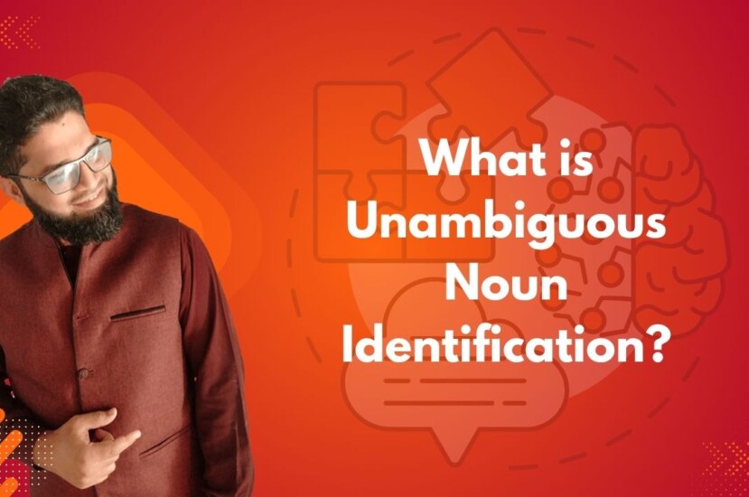 What is Unambiguous Noun Identification?