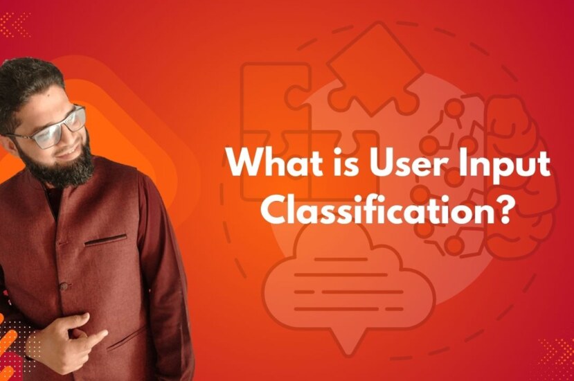 What is User Input Classification?