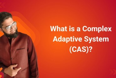 What is a Complex Adaptive System (CAS)?