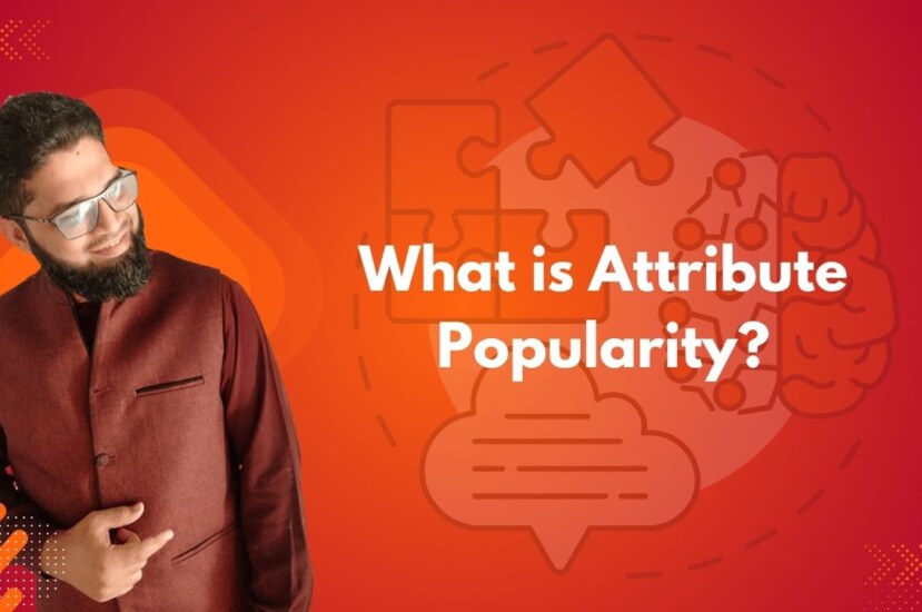 What is Attribute Popularity?