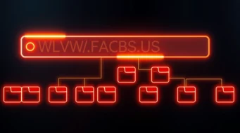 URL Structure