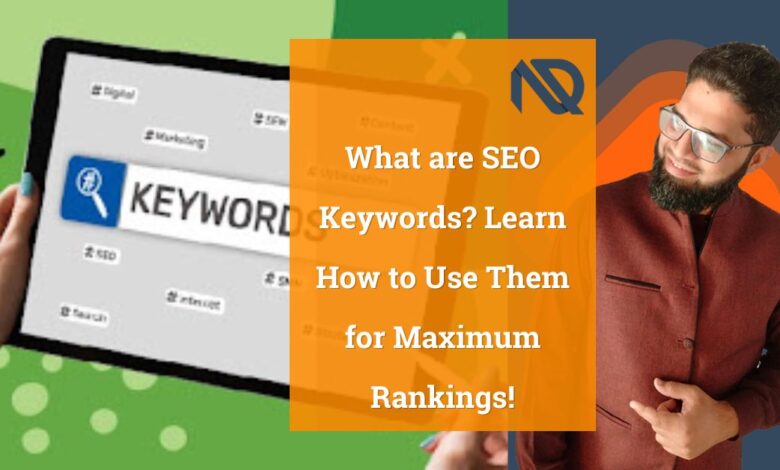 What are SEO Keywords Learn How to Use Them for Maximum Rankings!
