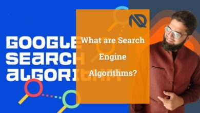What are Search Engine Algorithms
