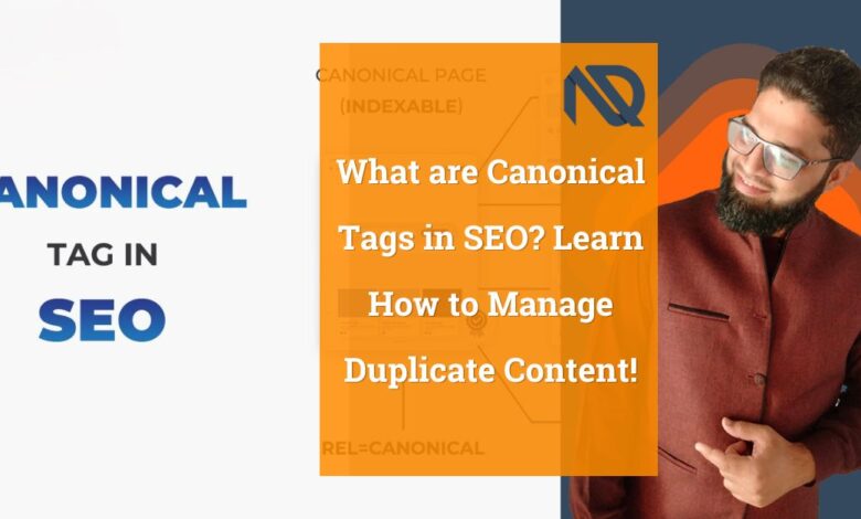What are Canonical Tags in SEO Learn How to Manage Duplicate Content!