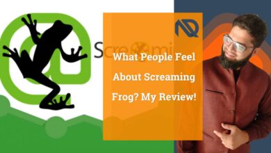 What People Feel About Screaming Frog My Review!