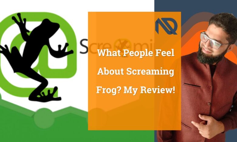 What People Feel About Screaming Frog My Review!