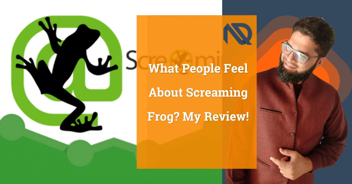 What People Feel About Screaming Frog My Review!