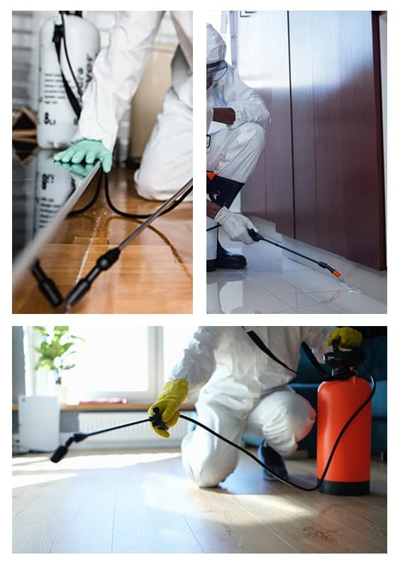 Pest Control Services Industry SEO Services Provider!