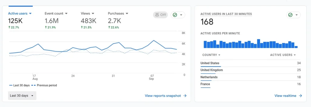 Google Analytics 30 day lead generation stats