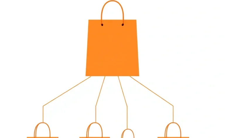 Fixing Shopify duplicate product URLs